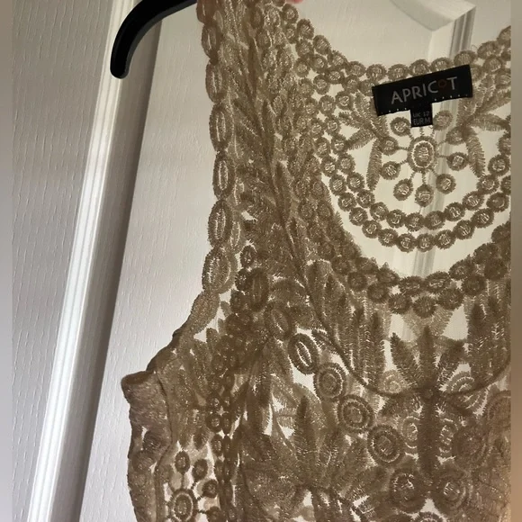 APRICOT Sheer Metallic Sparkle Embroidered Tank Top Fairy Whimsigoth Boho | Sz M - Picture 10 of 16